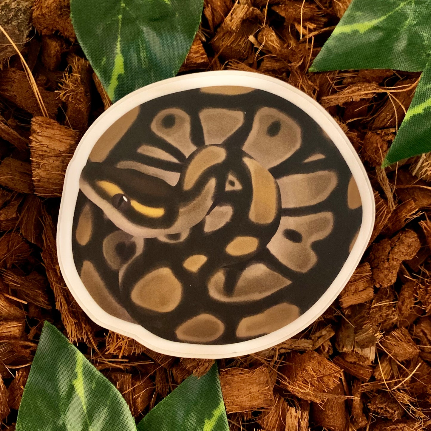 Coiled Ball Python Sticker, Normal