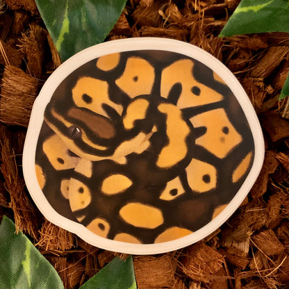 Coiled Ball Python Sticker, Pastel