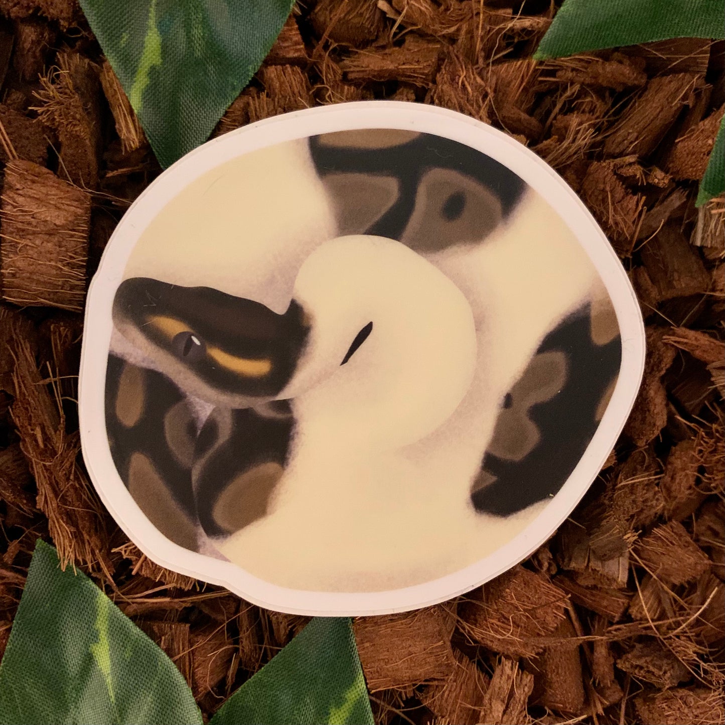 Coiled Ball Python Sticker, Piebald