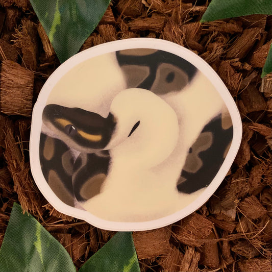 Coiled Ball Python Sticker, Piebald