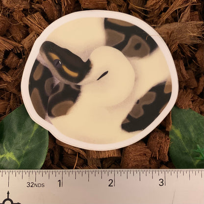 Coiled Ball Python Sticker, Piebald