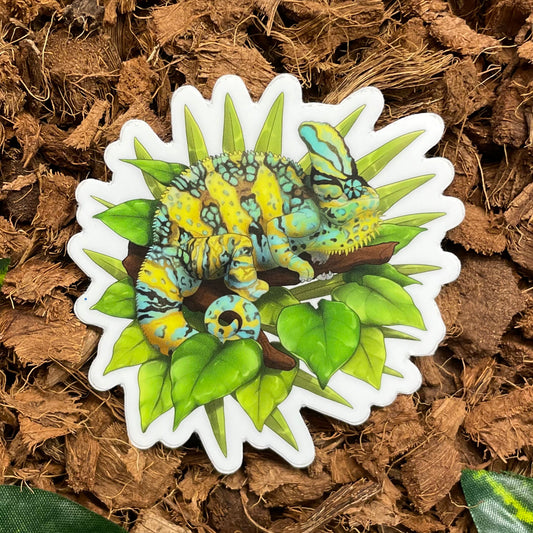 Chameleon Sticker