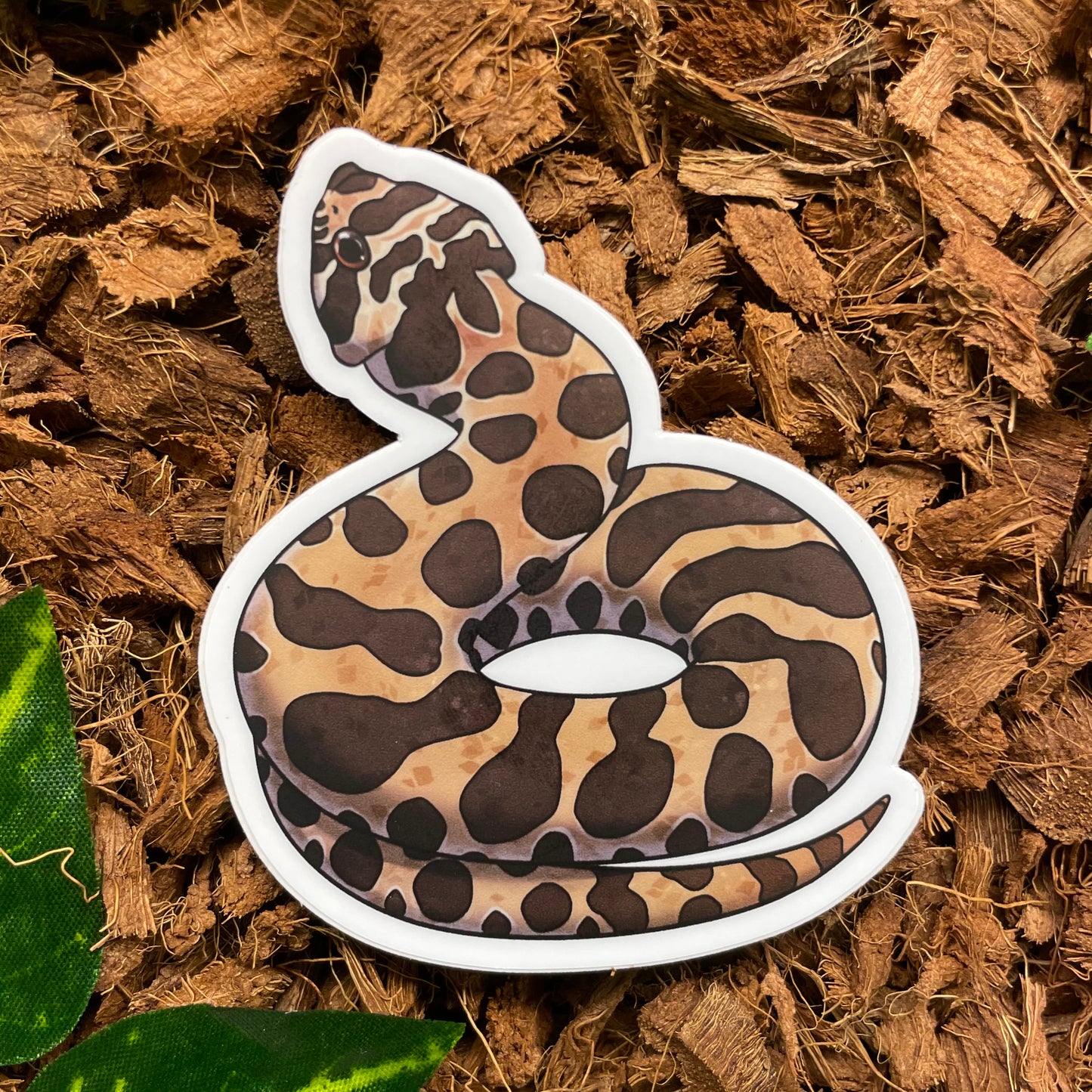 Hognose Snake, Normal Sticker