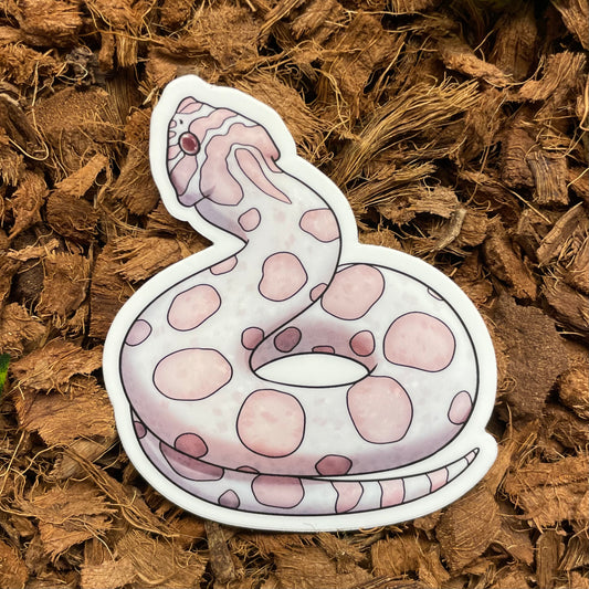 Hognose Snake, Snow Conda Sticker