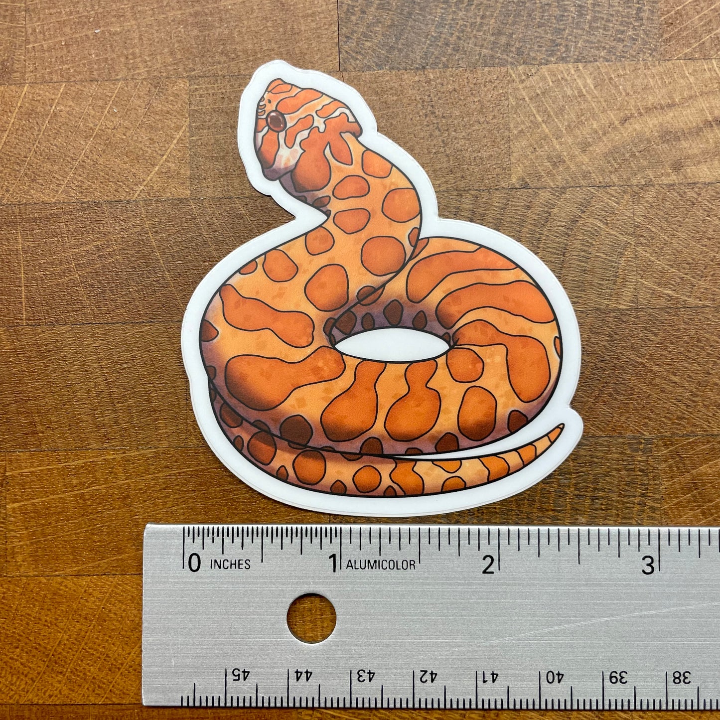 Hognose Snake, Sunburst Sticker