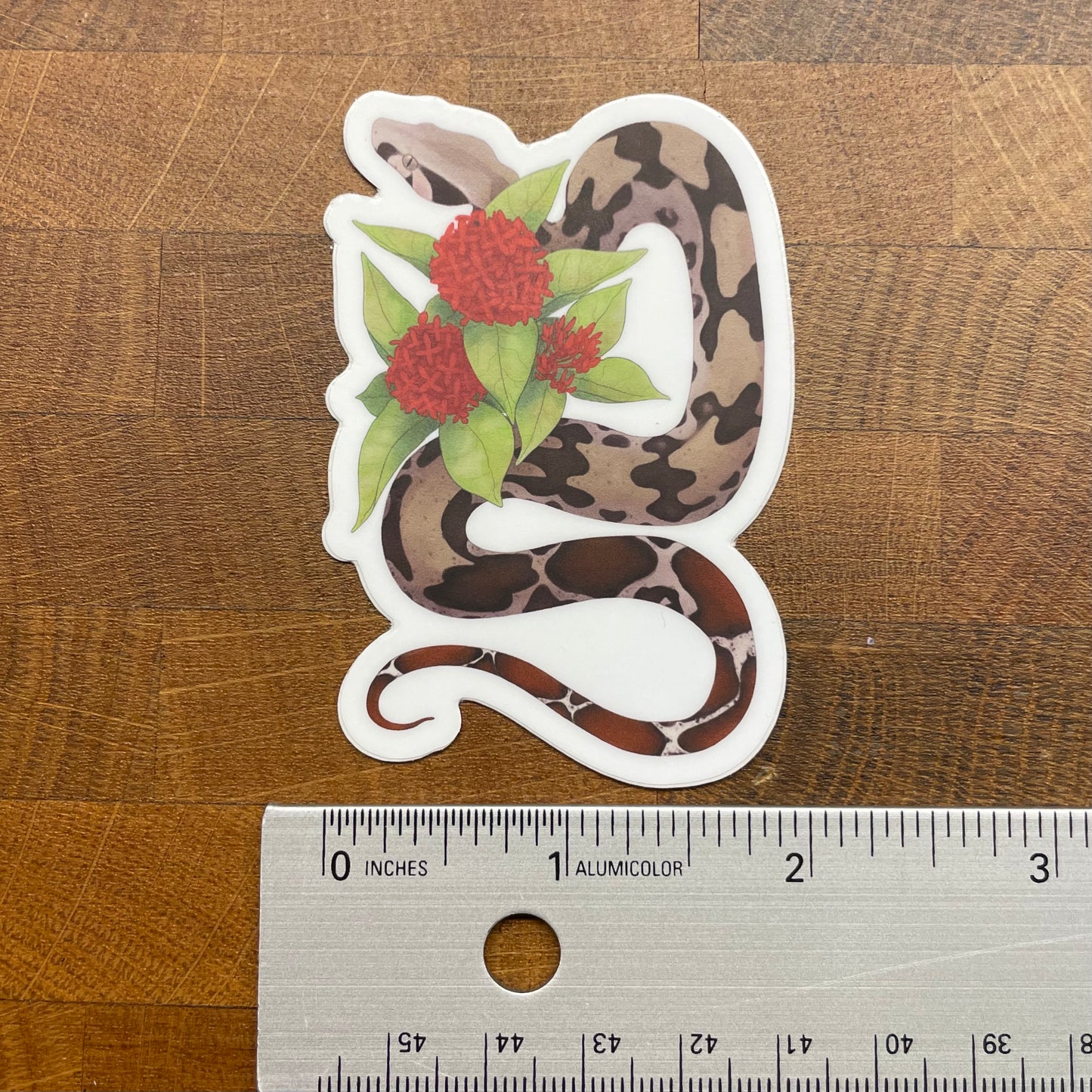 Suriname Boa Constrictor Sticker