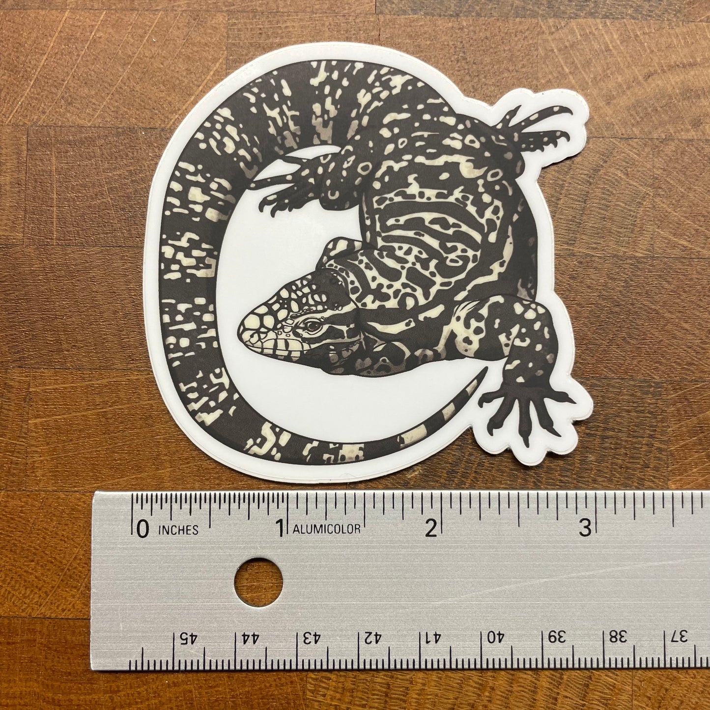 Tegu Lizard Sticker