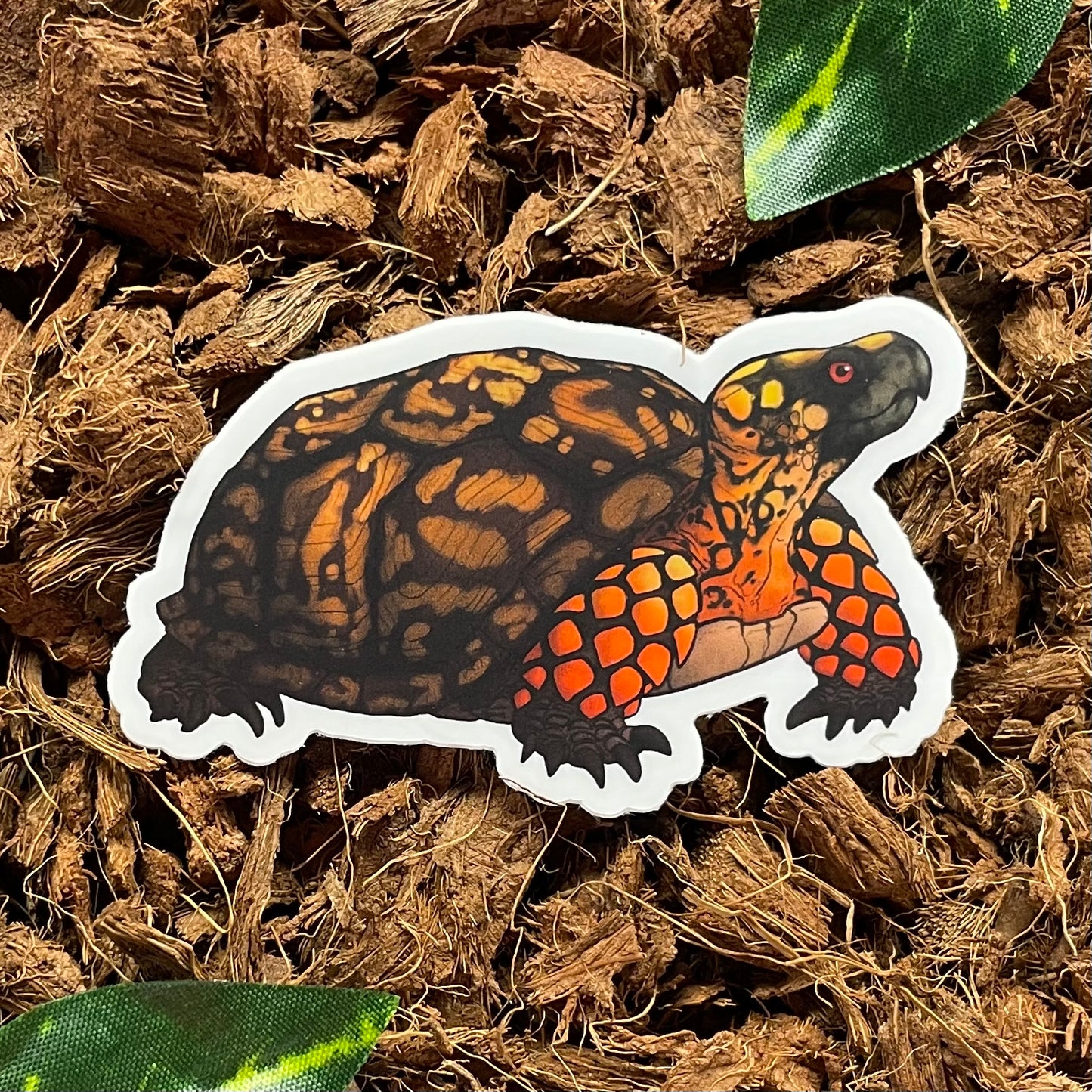 Eastern Box Turtle Sticker