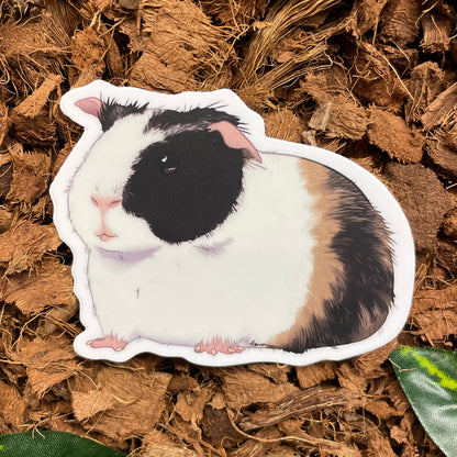 Guinea Pig Sticker