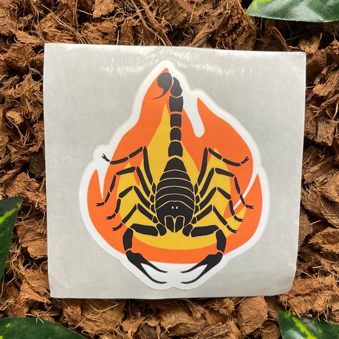 Hot Scorpion Sticker