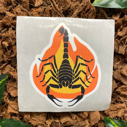 Hot Scorpion Sticker