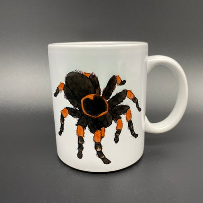 Mexican Red Knee Tarantula Mug