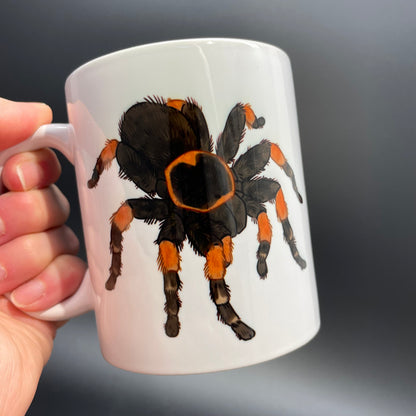 Mexican Red Knee Tarantula Mug