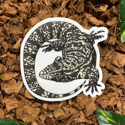 Tegu Lizard Sticker