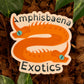 Amphisbaena Exotics Logo Sticker