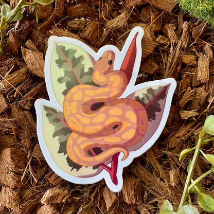 Banana Beauty Ball Python Sticker