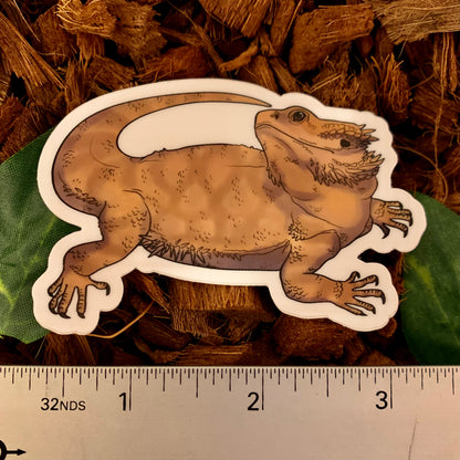 Bearded Dragon Sticker