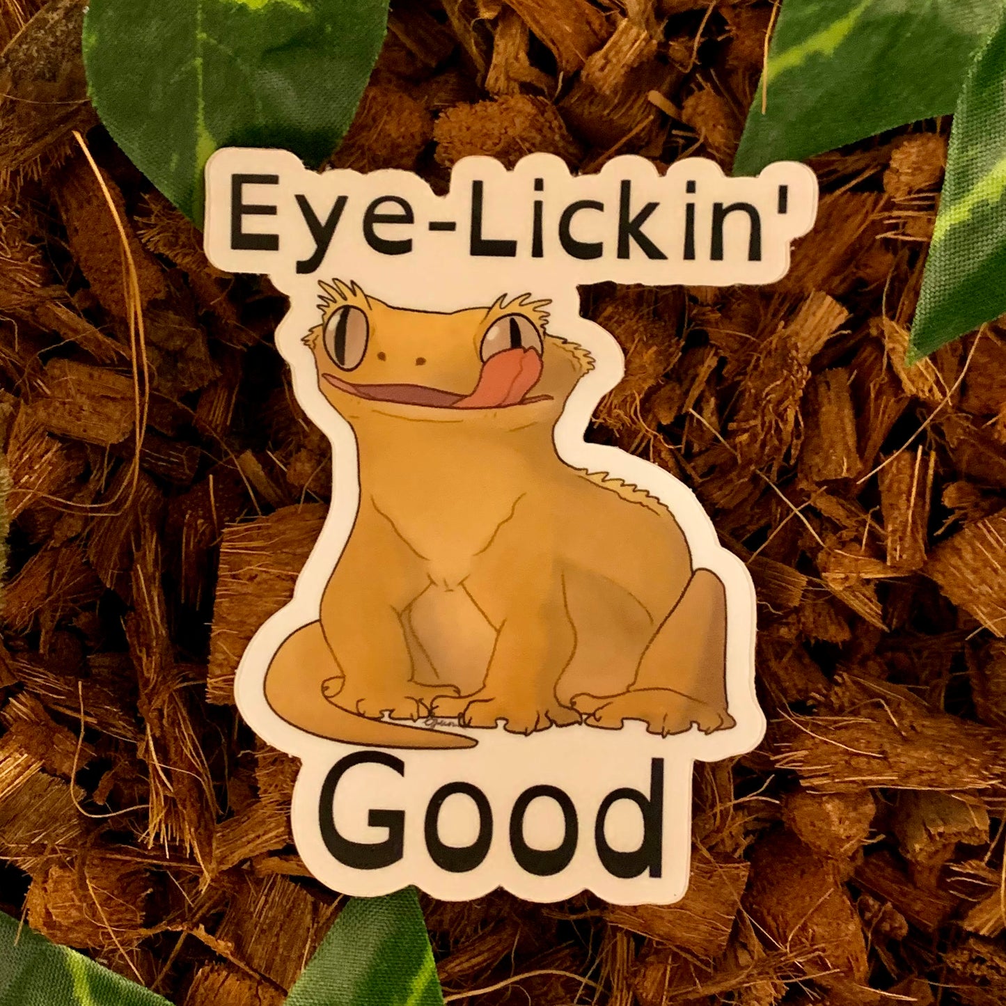 A three inch decal of a realistic cartoon style illustration of a crested gecko, sitting down, looking forward while licking one eye with the caption, "Eye Lickin' Good", the pun and the art are created by Amphisbaena Exotics