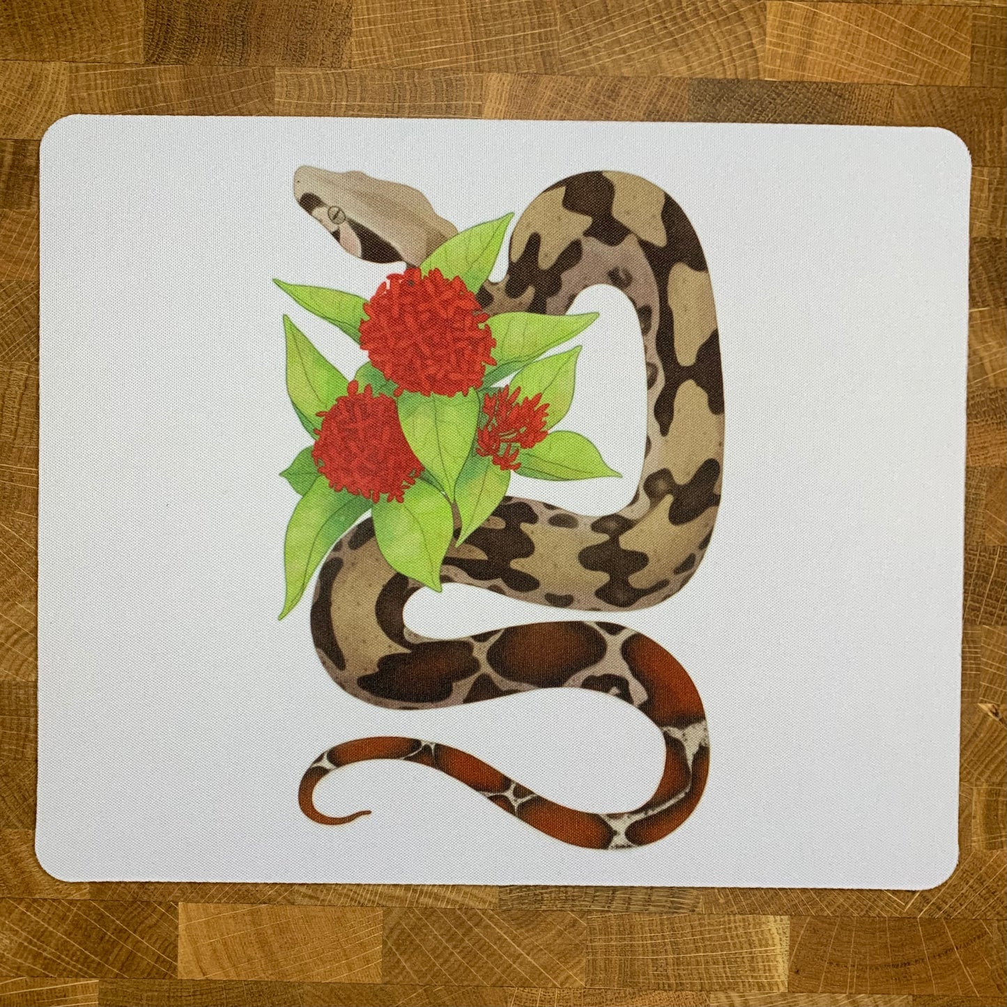 Red Tailed Boa Constrictor Mousepad