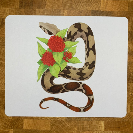 Red Tailed Boa Constrictor Mousepad