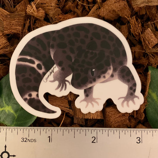 Black Night Leopard Gecko Sticker
