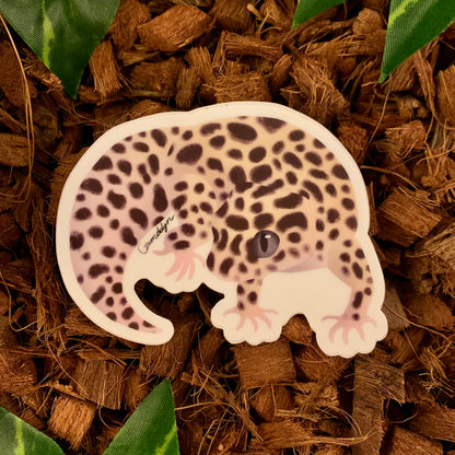 Mack Snow Leopard Gecko Sticker