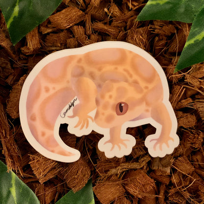 Rainwater Albino Leopard Gecko Sticker