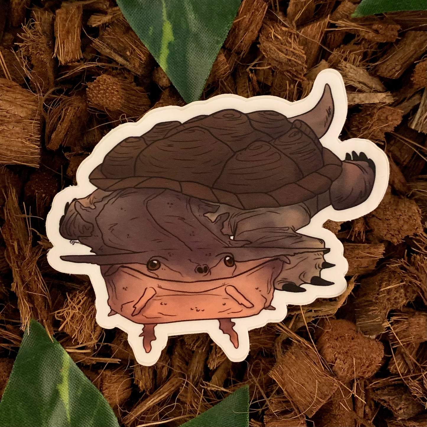Mata Mata Turtle Sticker