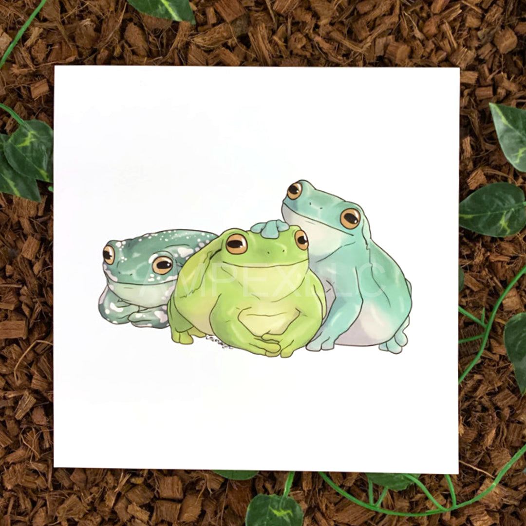 White's Tree Frogs Trio Art Print, 9x9