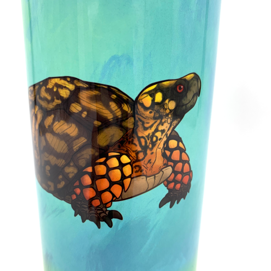 *Last Chance* Eastern Box Turtle Stainless Steel Tumbler