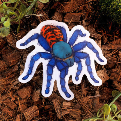 Greenbottle Blue Tarantula Sticker