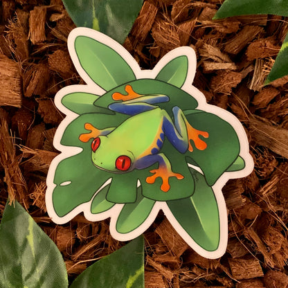 Red-Eyed Tree Frog Sticker