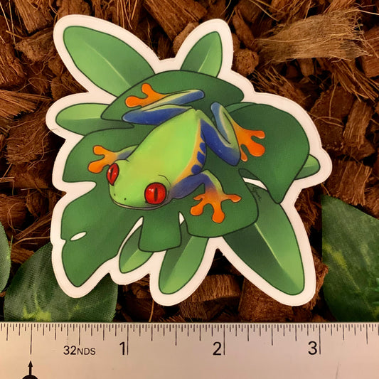 Red-Eyed Tree Frog Sticker