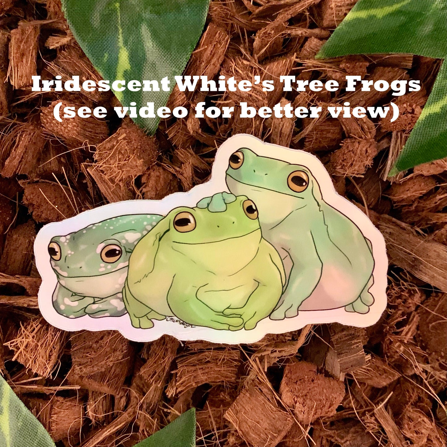 IRIDESCENT White's Tree Frog Sticker